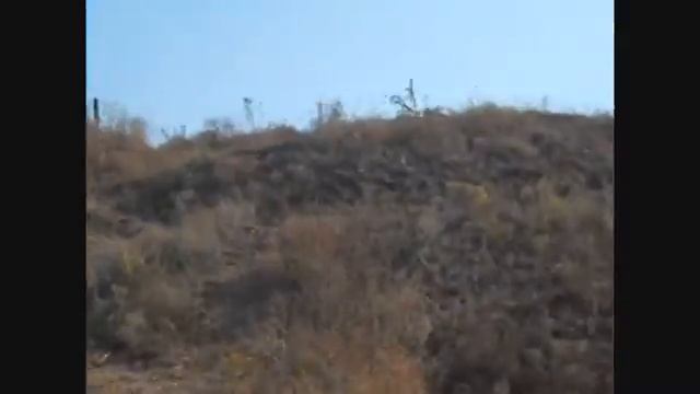 Влог:Гуляем. смотреть онлайн