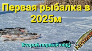 Рыбалка на жерлицы в феврале