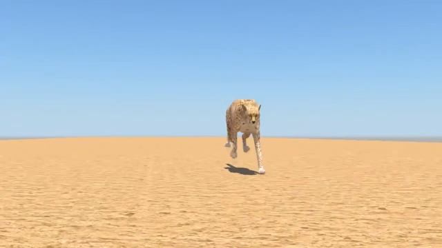 Running Panther 3D смотреть онлайн