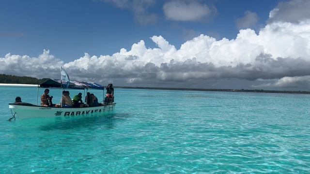 Занзибар. Остров Mnemba