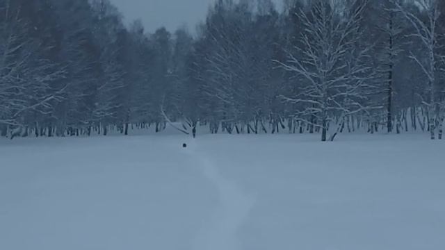 АЗИАТЫ из БАШКИРИИ... смотреть онлайн