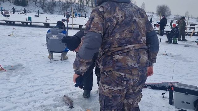 15-02-2025 смотреть онлайн