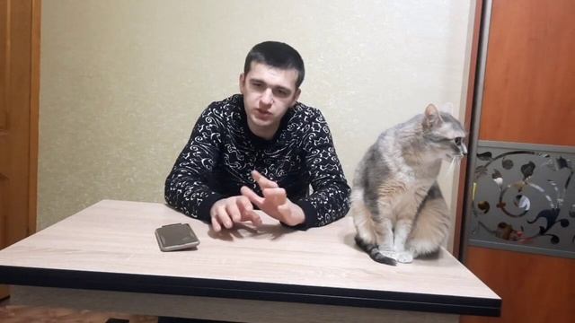 Скрученые пробеги и реальные у машин 10 летних#автомобили #автобудни #автоподбор #автоподключ смотреть онлайн