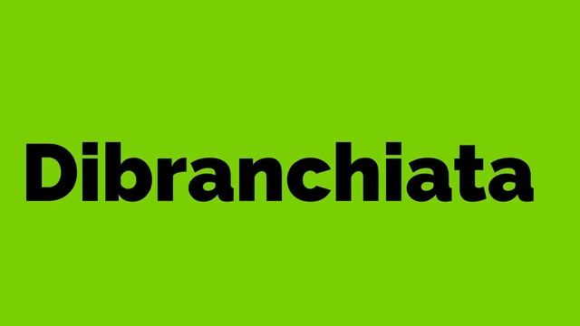How to pronounce Dibranchiata? How do you correctly say the word Dibranchiata? 😊 смотреть онлайн