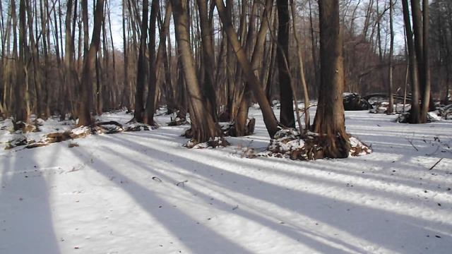 DSCF6130 смотреть онлайн