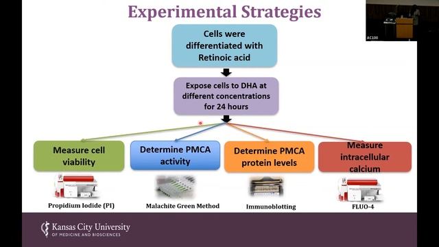Neuroprotective Effects of a PolyUnsat. Fatty Acid on Neuronal Calcium Transporter - Ronithe Senatu смотреть онлайн
