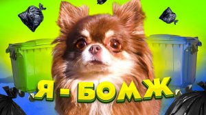 Я ушла из дома… глазами собаки 🐶💔