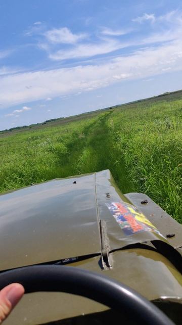 VID_20240615_110323 смотреть онлайн