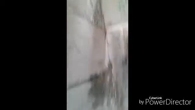 Зеб #2 смотреть онлайн