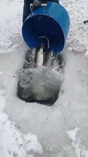 запуск смотреть онлайн