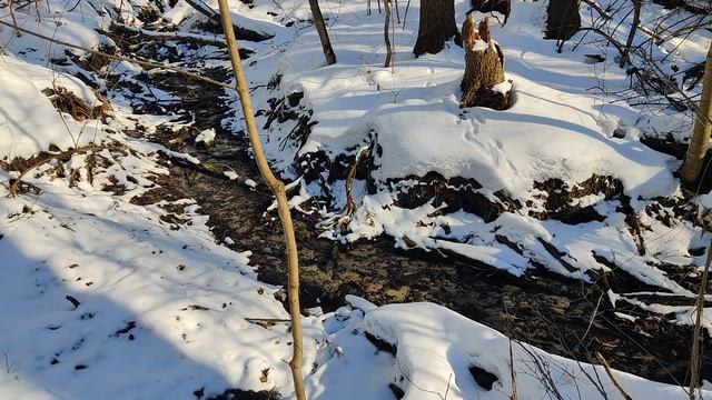 VID_20240224_144404 смотреть онлайн