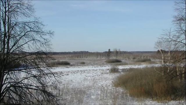 Иеромонах Роман. «Вижу я себя седым-седым во сне…» смотреть онлайн