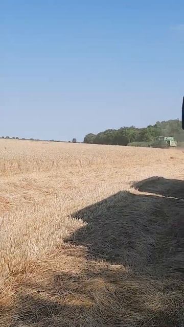 Пшеница паровая клетка 2022 смотреть онлайн