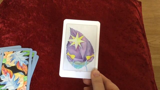 Walkthrough of Tarot Leaves смотреть онлайн