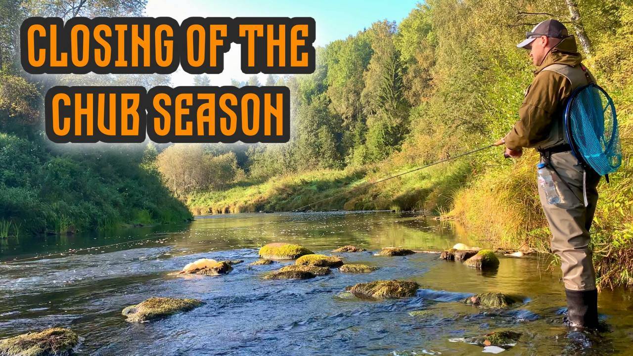 Рыбалка на ГОЛАВЛЯ в последние дни лета | Закрытие голавлиного сезона 2024 |Рыбалка на спиннинг. смотреть онлайн