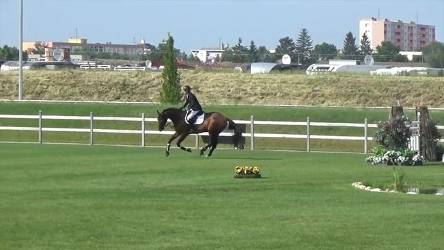Quickchin WH Z (Quidam de Revel x Chin Chin, 2008) CSI3* Samorin DERBY 6th place смотреть онлайн
