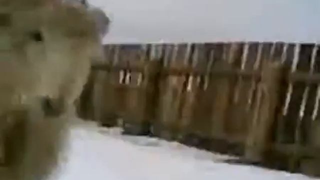 Баран Боря смотреть онлайн