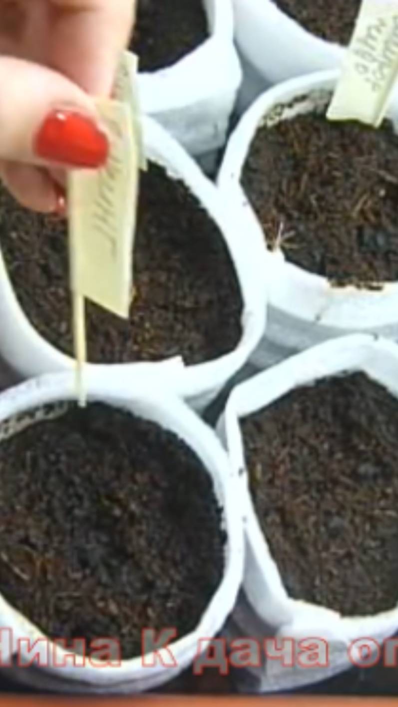 Маячки таблички для рассады своими руками смотреть онлайн