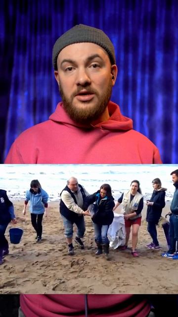 самый маленький кит в мире смотреть онлайн