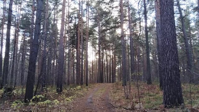 31 октября 2024 г. смотреть онлайн