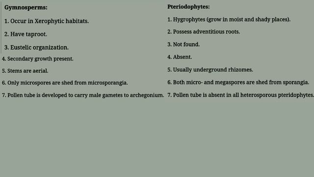 Affinities and Relationship of Gymnosperms/Difference between Gymnosperms and Pteridophytes смотреть онлайн