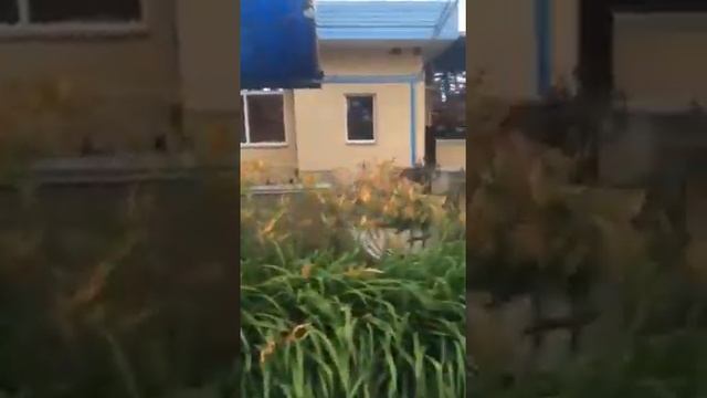 Пожар в Белополье ч2 смотреть онлайн