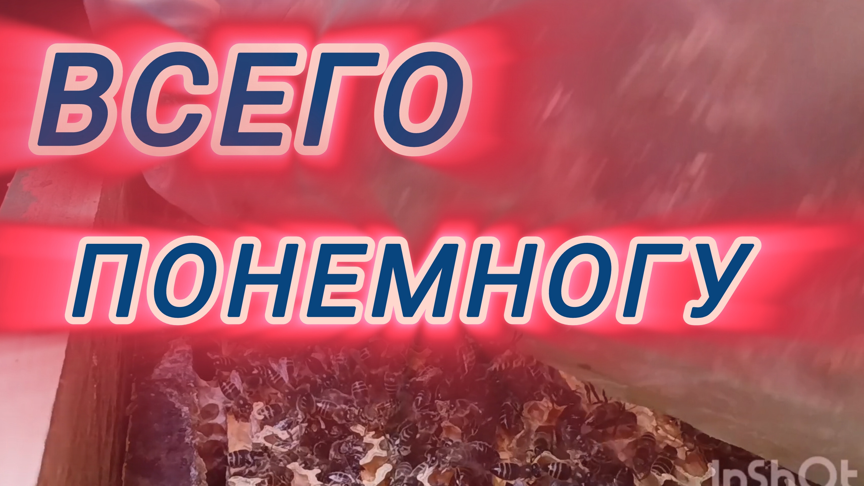 Всего понемногу смотреть онлайн
