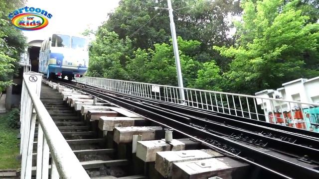Изучаем поезда и железнодорожный транспорт Развивающее видео для детей Educational Video For Childr