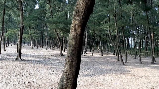 Cox's Bazar, Shahin Point, Bangladesh -- a beautiful tourist destination смотреть онлайн