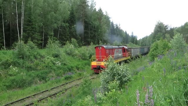 Тепловоз ЧМЭ3т-6572 с грузовым поездом на малодеятельной линии Волосатая-Нерудная (Владимирская обл смотреть онлайн
