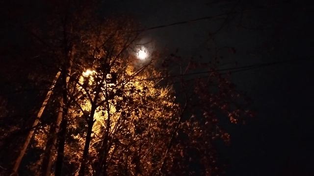 Светотени смотреть онлайн