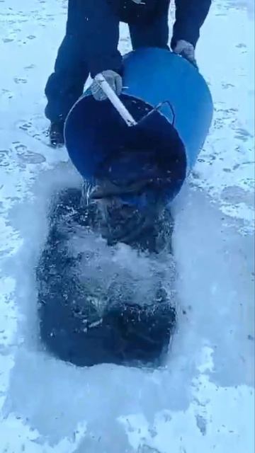 запуск форели смотреть онлайн