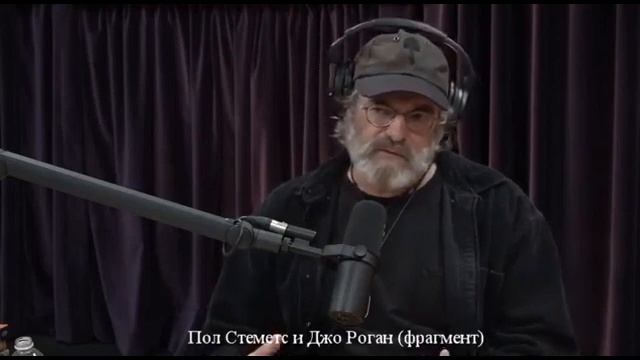 о Ежовике , нейрогеннезе .траметес разноцветный . иммунитет.мицелий .Пол Стеметс смотреть онлайн
