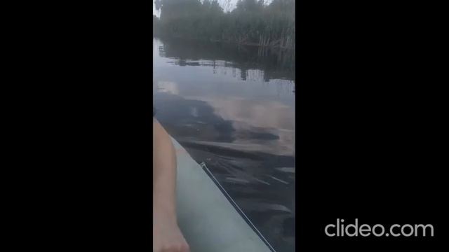 vid 20200615 1122061 fmFQxkQQ wrAW Splav смотреть онлайн