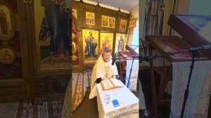 ПОЧЕМУ "БОГОЯВЛЕНИЕ"? Проповедь в самый день Крещения Господня (Богоявления).