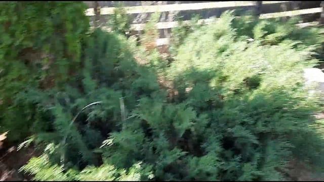 Первая поездка на дачу в этом сезоне смотреть онлайн