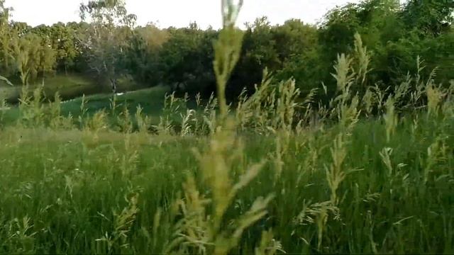 Panski Yar - Green Park - New Kharkiv смотреть онлайн