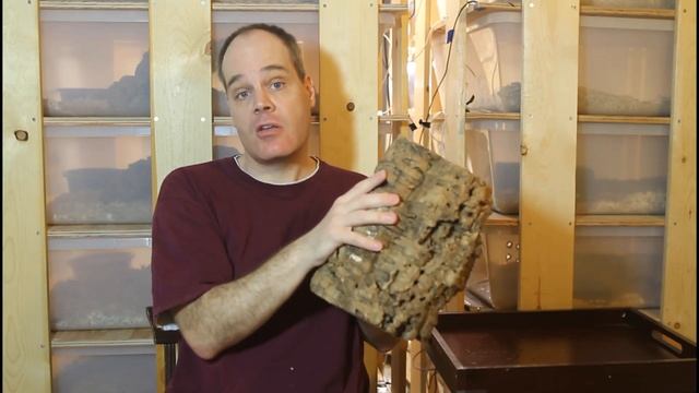 Highly Recommended Boa Constrictor Products смотреть онлайн