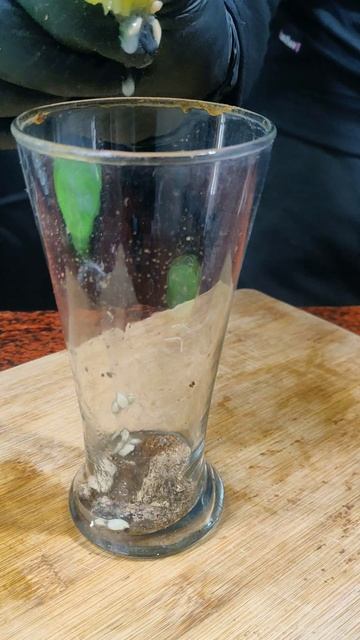 2 Min Refreshing Masala Soda #shorts смотреть онлайн