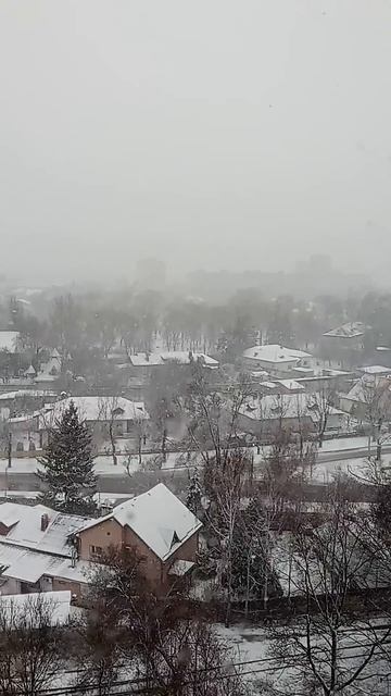 Срочно в новость. Такого этой зимой уже может и не быть. #ukraine #news #прикол смотреть онлайн