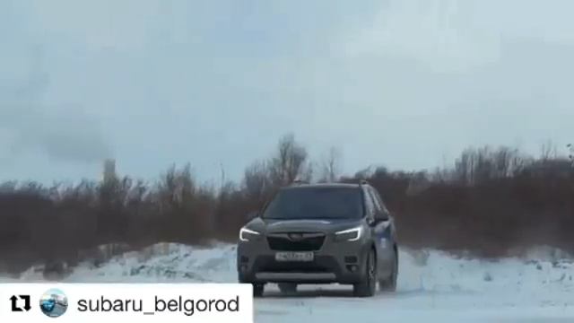 -8668781149677659867