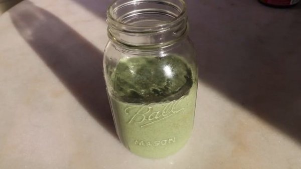 My Top 3 Favorite Plant Based Brekkies in Winter! AD