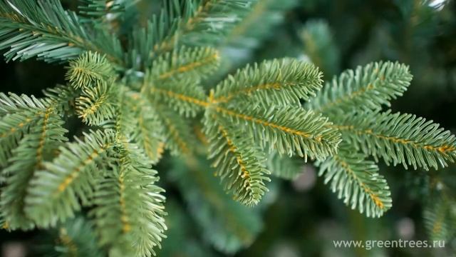 Елка искусственная смотреть онлайн