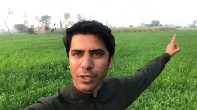 جٹ اور جائیدادیں смотреть онлайн