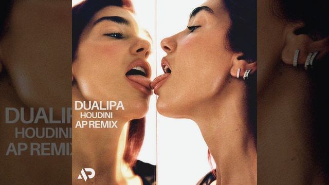 DuaLipa - Houdini (AP REMIX)