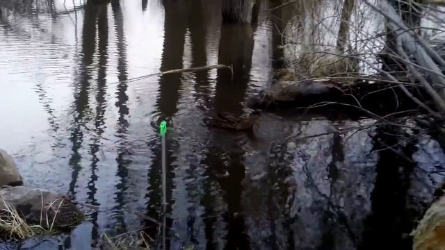 Машка2016 смотреть онлайн