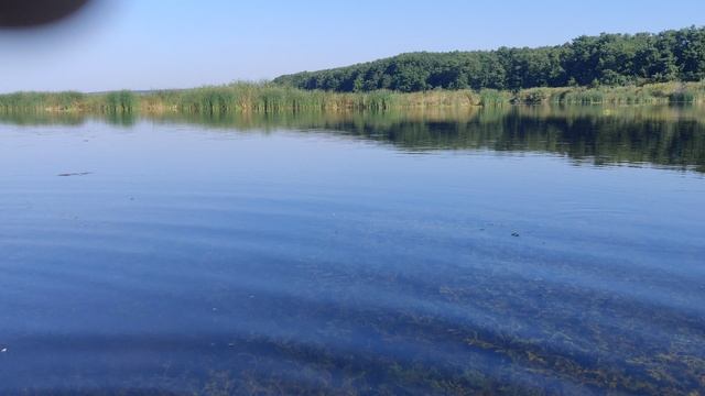 VID_20230806_080924 смотреть онлайн