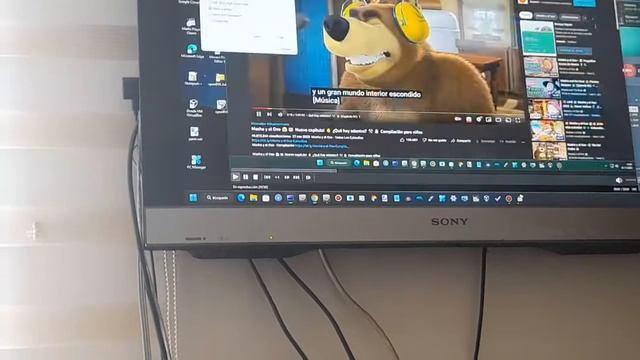 Masha And The Bear BSOD