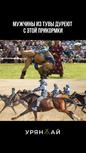 Урянхай Рест