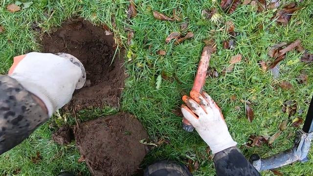 OH YAH BABY!! Deep toy under a root!! смотреть онлайн